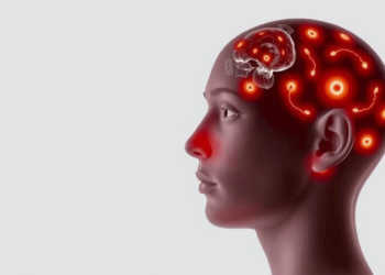 Artificial Intelligence Is Rewriting the Rules of Ultrasound Imaging