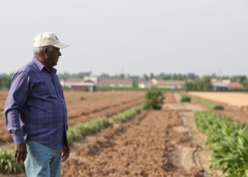 Prostate Cancer Screening Gaps Between Rural and Urban America May Be Smaller Than Feared