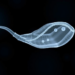 Tiny RNA Fragment in Sperm Tracks Severity of Varicocele-Linked Infertility