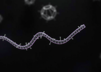 CRISPR and Nanopore Sequencing Reveal Hidden RNA Tags in E. coli
