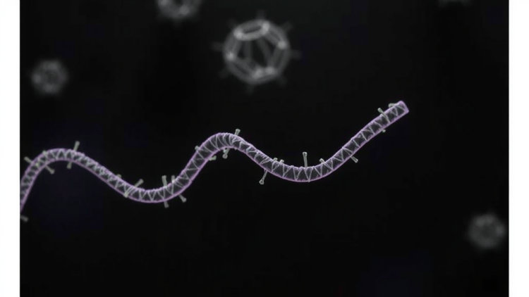 CRISPR and Nanopore Sequencing Reveal Hidden RNA Tags in E. coli