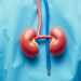Ilofotase Alfa Fails to Protect Kidneys After Open Heart Surgery