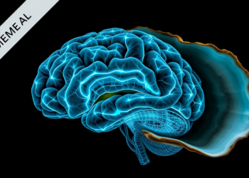 Oyster Brain Atlas Reveals Hidden Neural Rewiring After Life’s Great Metamorphosis