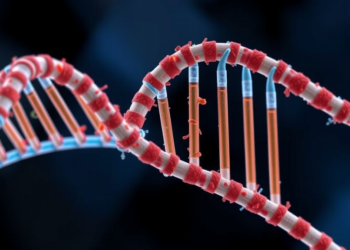 mRNA Therapeutics Move Beyond Vaccines Into Cancer and Rare Disease Medicine