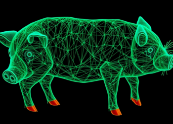 Pig Models Reveal MicroRNA Networks Driving Duchenne and Becker Muscular Dystrophy