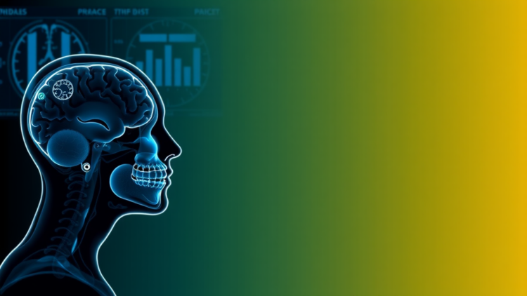 Deduplication Software Can Silently Distort Systematic Reviews, Paediatric Neuroradiology Study Warns
