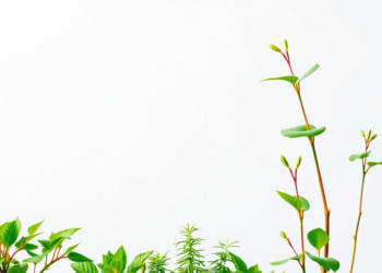 Green Innovation and R&D Drive Sweden’s Long-Term Productivity, Study Finds
