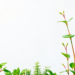 Green Innovation and R&D Drive Sweden’s Long-Term Productivity, Study Finds