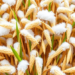 A Genetic Saboteur: Scientists Uncover Why Rice Surrenders to the Cold