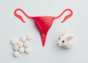 Common Epilepsy Drug May Harm the Ovary, but ATP Outperforms Melatonin in Rat Study