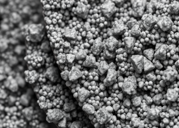 Heat Treatment Steers Titanium Dioxide Nanoparticles from Anatase to Rutile
