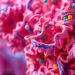 New Method Maps Both Chromatin Access and 3D Folding in Intact Tissues