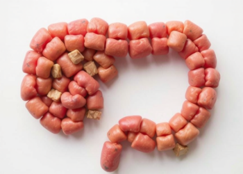 Gut Microbes May Predict Who Keeps Weight Off After Fasting, Study Finds