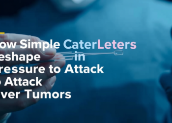 How Simple Catheters Reshape Blood Pressure to Attack Liver Tumors