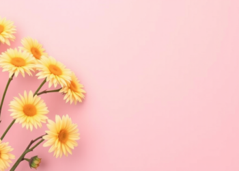 Women’s Cancers: The Prevention Power We Already Have but Rarely Use