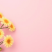 Women’s Cancers: The Prevention Power We Already Have but Rarely Use