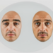 Smart Biphasic Plate Shows Two Faces Under Real-World Loads, Study Finds