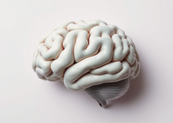 Massive new database reveals how the brain handles words that do not exist