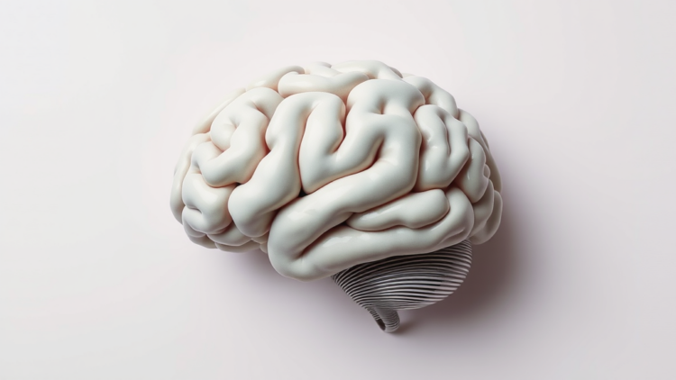 Massive new database reveals how the brain handles words that do not exist