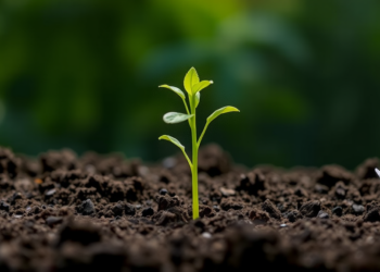 Light to Read the Soil: Spectroscopy Moves Toward Rapid Fertility Testing