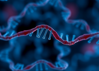 Tiny RNA Cluster Revealed as Master Switch Behind Lung Cancer Survival and Immune Evasion