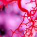 Rigorous Testing Reveals Weak and Inconsistent Microbiome Signals in Lung Cancer Tumours