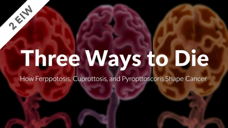 Three Ways to Die: How Ferroptosis, Cuproptosis and Pyroptosis Shape Cancer