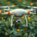 Drones and Explainable AI Aim to Cut Pesticide Waste in Solanaceous Crops