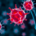 Zombie cells caught fueling bone loss as scientists map senescence in osteoporosis