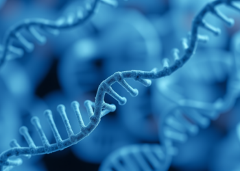 Diverse Biobank Data Sharpen Genetic Risk Prediction Where It Matters Most