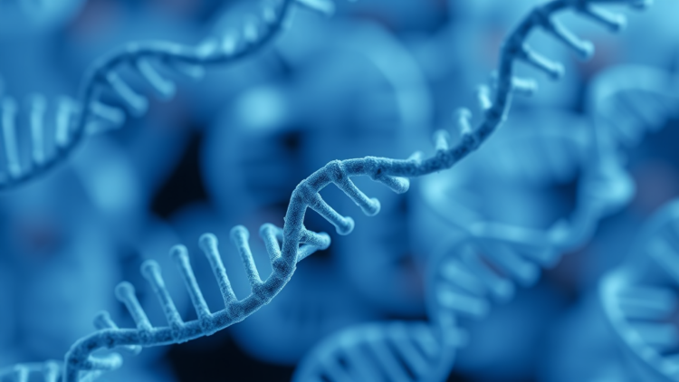 Diverse Biobank Data Sharpen Genetic Risk Prediction Where It Matters Most
