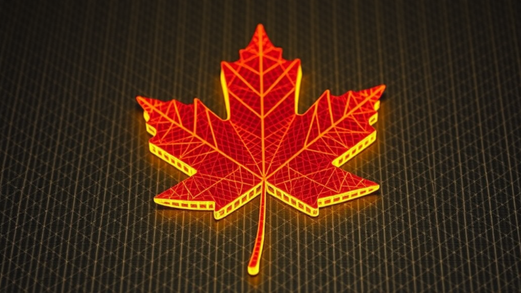 Maple Leaf-Shaped Graphene Metasurface Absorbs Terahertz Waves With Near-Perfect Efficiency