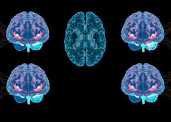 Brain Wiring Maps Reveal Why Deep Brain Stimulation Targets Differ in OCD Patients