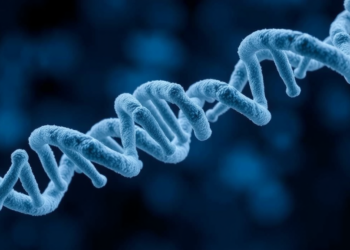 Mitochondrial DNA Methylation Unchanged in Down Syndrome, Study Finds