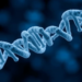 Mitochondrial DNA Methylation Unchanged in Down Syndrome, Study Finds