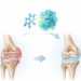 MYDGF as a telomerase activator and therapeutic target for osteoarthritis