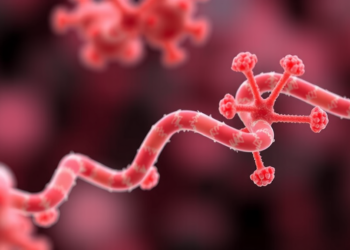 Cholesterol-Lowering Antibody Evinacumab Halves LDL Across Lipid Disorders