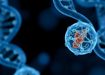DNA Repair Protein APEX1 Emerges as Key Guardian of Egg Cell Quality