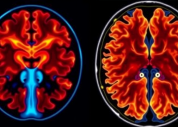 From Lab to Clinic: Mapping the Long Road for Deep Learning in Medical Imaging