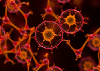 Plant Cell Cultures Emerge as Controllable Factories for Extracellular Vesicles
