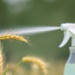 Foliar Hormone Spray Helps Wheat Withstand Nanoplastic Pollution, Study Finds