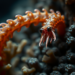 Venomous Fireworm Found Hiding in Deep Black Coral Forests