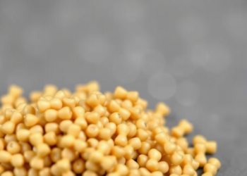 Mung Bean Waste Turned Into Antibacterial Peptide Nanoparticles That Rival Chemical Food Preservatives