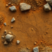 Iron-Manganese Phosphate Composites Lock Away Toxic Metals in Mining Soils