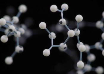 AI Predicts and Designs Bitter Peptides That Shape the Taste of Food