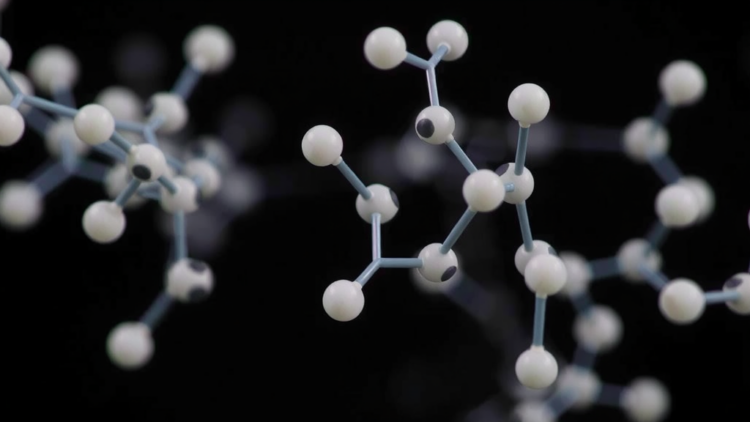 AI Predicts and Designs Bitter Peptides That Shape the Taste of Food
