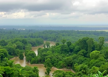 Climate Extremes Are Accelerating Across the Amazon, Exposing New Hotspots of Concern