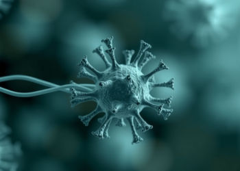 CD58 Emerges as a Central Player in How Tumors Evade Immune Attack and Resist Therapy