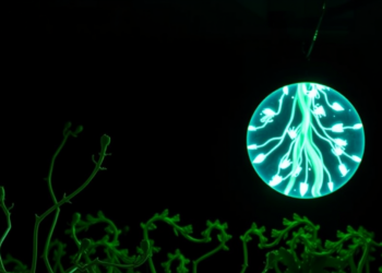 Green technology emerges as China’s strongest lever against carbon intensity