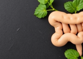 Gut Microbe Lactobacillus plantarum Shows Modest Weight Loss Benefits in Major Meta-Analysis